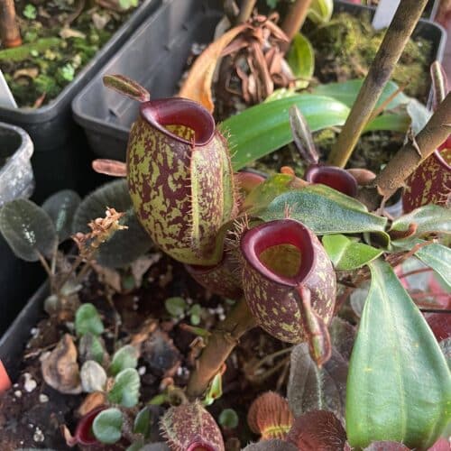 qcYu3ipVm274MbRF1xy0.jpg qcYu3ipVm274MbRF1xy0.jpg