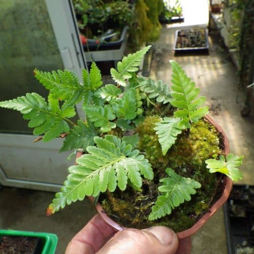 qoe8NYU0kM3kXCL6edHC.jpg qoe8NYU0kM3kXCL6edHC.jpg