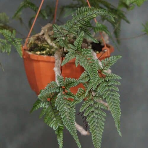 quO0ej5ZhYqqiRm2eJQM.jpg quO0ej5ZhYqqiRm2eJQM.jpg