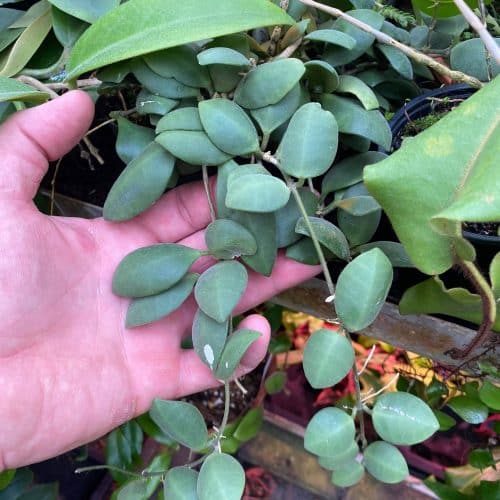 qx4T0Jm3APGM6CCKrO4O.jpg qx4T0Jm3APGM6CCKrO4O.jpg