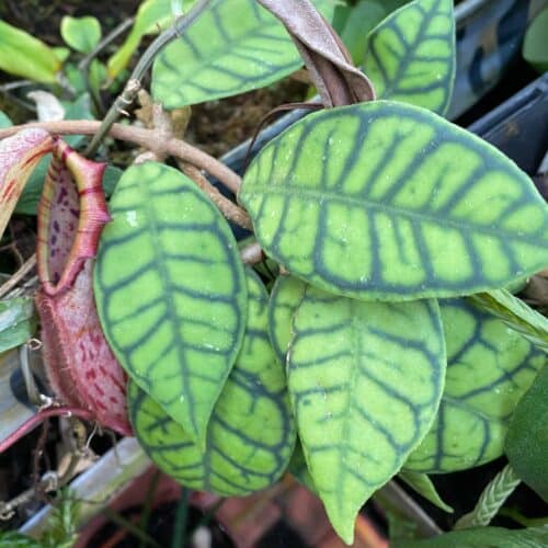 r0ItCZNYAszoIHgzSIFY.jpg r0ItCZNYAszoIHgzSIFY.jpg