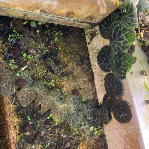 r7hrU4EVM8rWpg83mo4X.jpg r7hrU4EVM8rWpg83mo4X.jpg