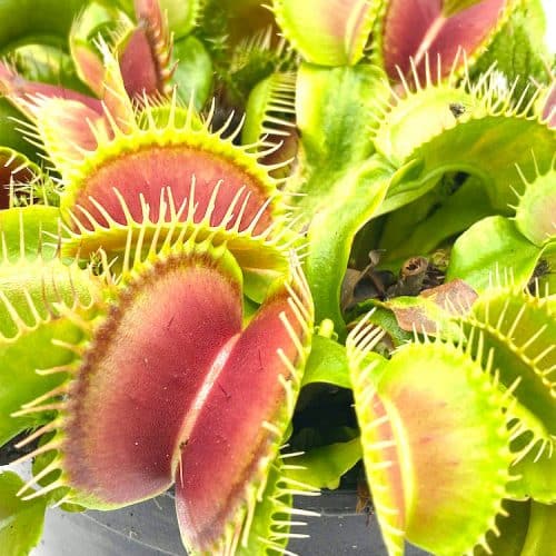 rNolYOSwXORqsxqgiiT3-1.jpg rNolYOSwXORqsxqgiiT3-1.jpg