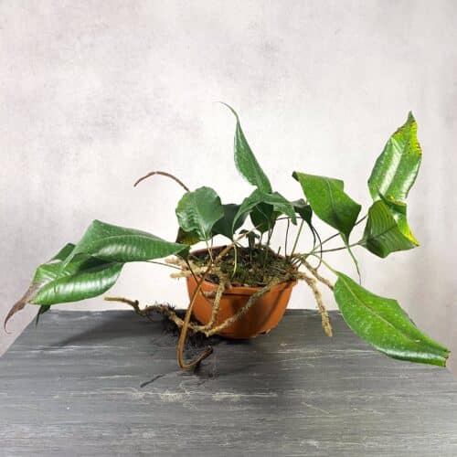 rTqcfLoaI2MecvnFLByf.jpg rTqcfLoaI2MecvnFLByf.jpg