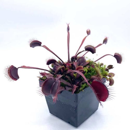 rVbFYHtehcLtSsKMaan2.jpg rVbFYHtehcLtSsKMaan2.jpg