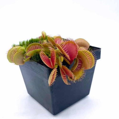 rWaTzoNOay6KA46z5xDq.jpg rWaTzoNOay6KA46z5xDq.jpg