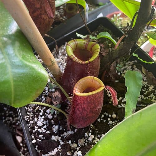 rXerQECWh3jDobzzTM2I.jpg rXerQECWh3jDobzzTM2I.jpg