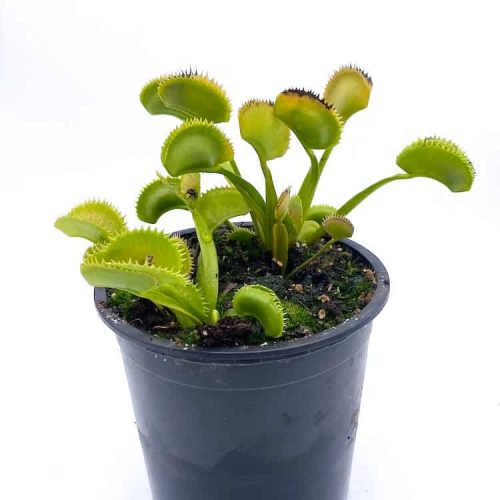 rau75Ex1Yt3gBUFQ5JIX.jpg rau75Ex1Yt3gBUFQ5JIX.jpg