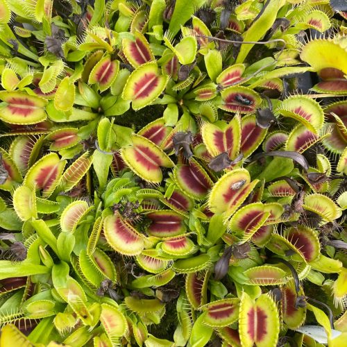 s0WQzk0nnmmTpP5od0BO.jpg s0WQzk0nnmmTpP5od0BO.jpg