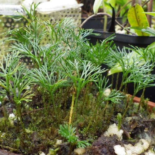 s82aiAEy5iJ597ijvOMy.jpg s82aiAEy5iJ597ijvOMy.jpg