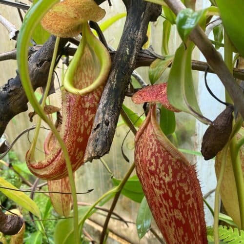 sCdrlf1Om8oTqyxiyR85.jpg sCdrlf1Om8oTqyxiyR85.jpg