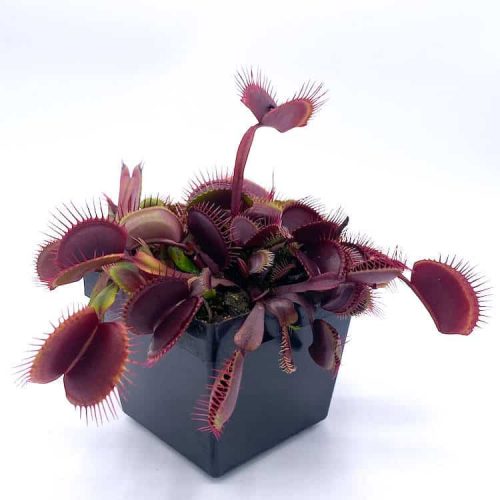 sNH135bzPfyhj9UqBBzX.jpg sNH135bzPfyhj9UqBBzX.jpg