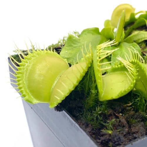 sP42x6Hh0SulhHSlpPQY.jpg sP42x6Hh0SulhHSlpPQY.jpg