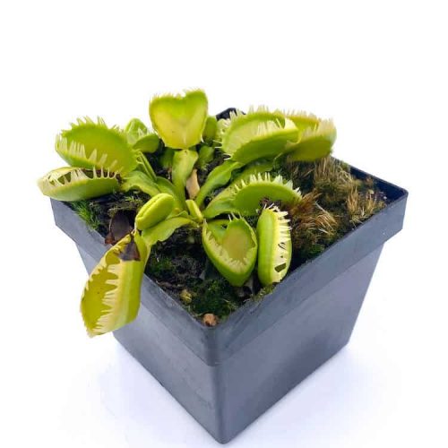 sZB43M7CsSXBRjjdZqub.jpg sZB43M7CsSXBRjjdZqub.jpg