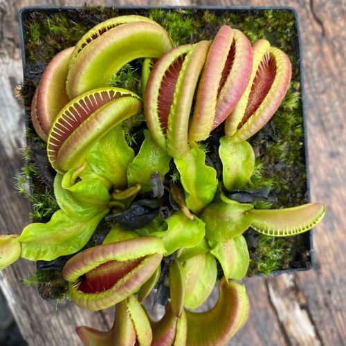 siwZD7JZVwksC0EHuKJ1.jpg siwZD7JZVwksC0EHuKJ1.jpg