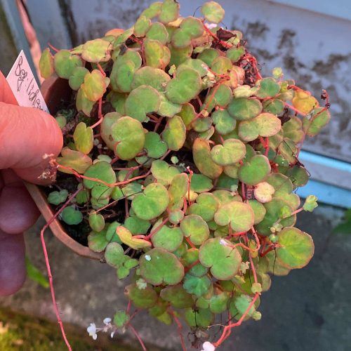 soqfqngBnoXc8D76WHMG.jpg soqfqngBnoXc8D76WHMG.jpg