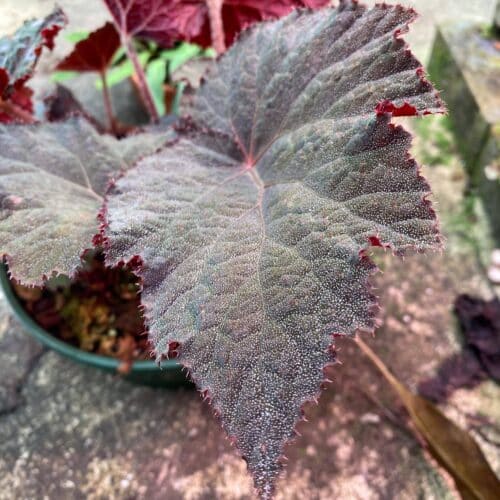 sudDKfMZU6hVjoYCSoMw.jpg sudDKfMZU6hVjoYCSoMw.jpg