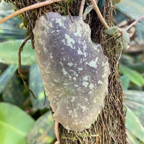 tMWH1pu1089AHsROQpcW.jpg tMWH1pu1089AHsROQpcW.jpg