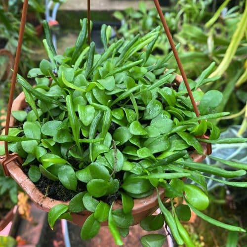 tfmLn3ZK5ffrkaaeD1Rz.jpg tfmLn3ZK5ffrkaaeD1Rz.jpg