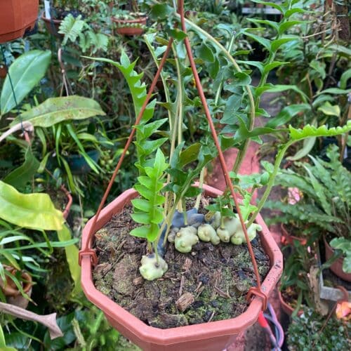 tpVjvOvl68bwW4tK9RXW.jpg tpVjvOvl68bwW4tK9RXW.jpg