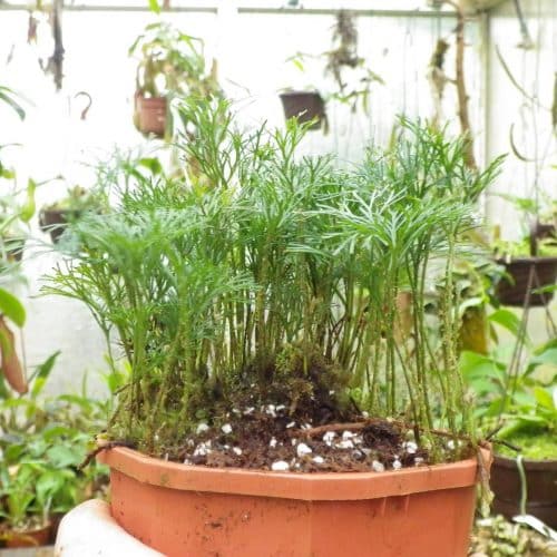 txZAe6PDo90ryoahLovY.jpg txZAe6PDo90ryoahLovY.jpg