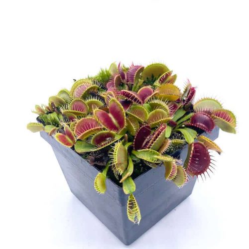 u18o6rTAw8OyxhNmbvPB.jpg u18o6rTAw8OyxhNmbvPB.jpg