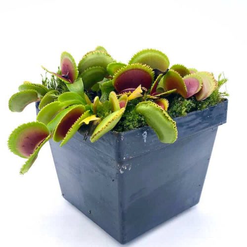 u8UnOknxlTm5g4My8YCE.jpg u8UnOknxlTm5g4My8YCE.jpg