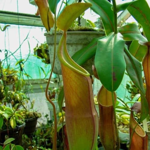 uLpFzwQ2xo0KU4cT9zyH.jpg uLpFzwQ2xo0KU4cT9zyH.jpg