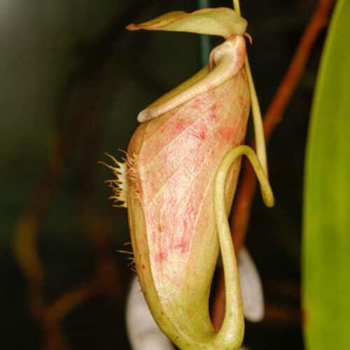 uVCEpYTb28xlj3XtnwCZ.jpg uVCEpYTb28xlj3XtnwCZ.jpg