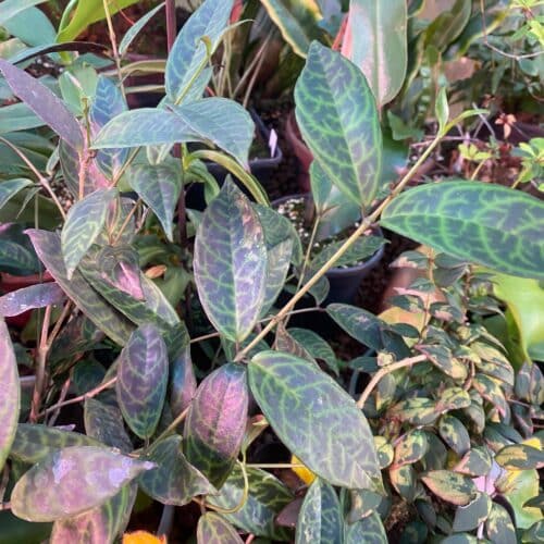 uYFcdbXno8am2D8StUCo.jpg uYFcdbXno8am2D8StUCo.jpg