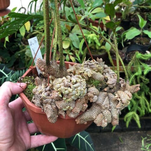 ueY8igbKJBX51HF0jWVG.jpg ueY8igbKJBX51HF0jWVG.jpg