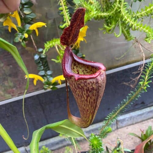 uemMB5IDQKBdg7vGEKZV.jpg uemMB5IDQKBdg7vGEKZV.jpg