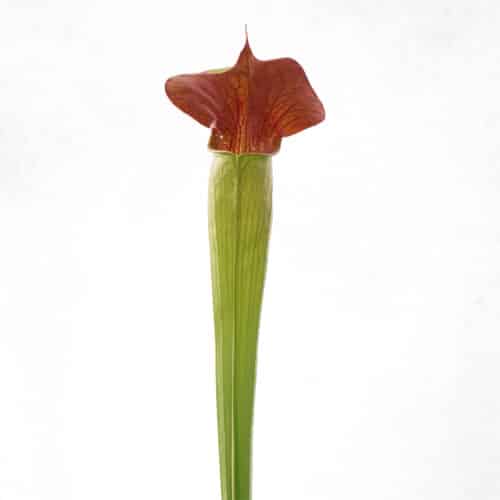 ugoDEFpUqhjw3LDufMt4.jpg ugoDEFpUqhjw3LDufMt4.jpg