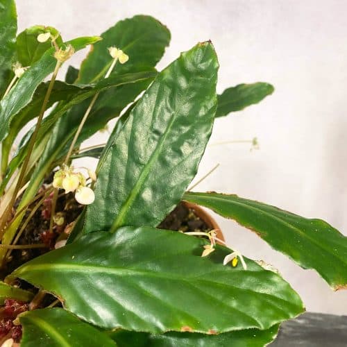 uhIUT4MPcCDO7D2b4GSR.jpg uhIUT4MPcCDO7D2b4GSR.jpg