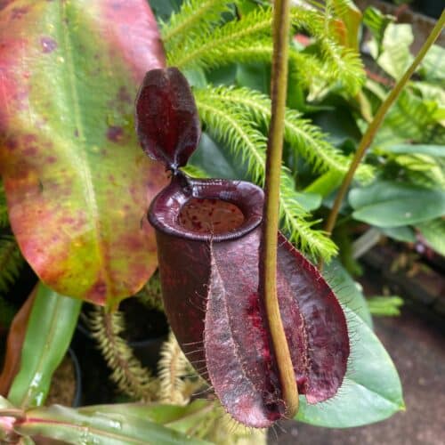 uirByr9Dt0MHyiEaPbjh.jpg uirByr9Dt0MHyiEaPbjh.jpg