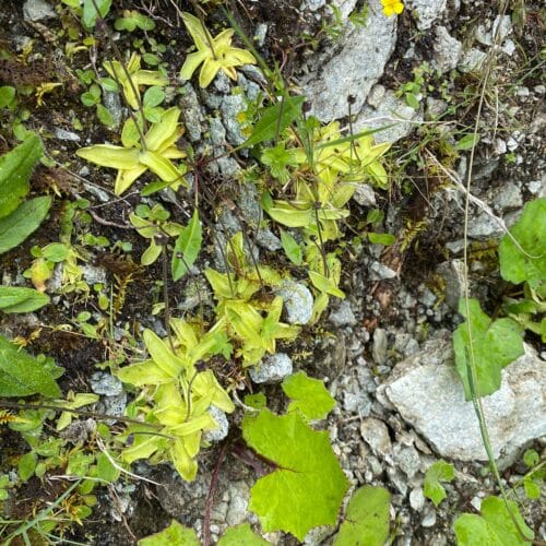 umzaLG0ETr7oYbnsTGNd.jpg umzaLG0ETr7oYbnsTGNd.jpg