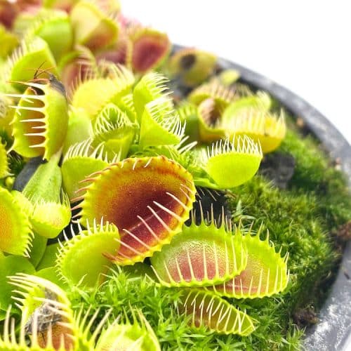 v0LWeQUQUnJuhUrUbDQb-1.jpg v0LWeQUQUnJuhUrUbDQb-1.jpg