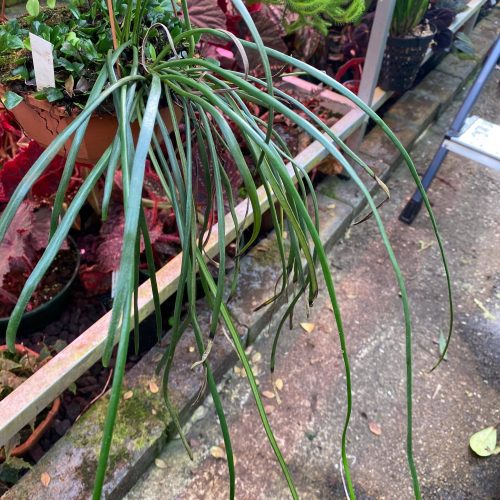 v1IU2XinUtdWNXOhiedT.jpg v1IU2XinUtdWNXOhiedT.jpg