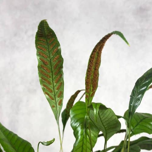 vCTmFElKJ0t2WfOmXCm2.jpg vCTmFElKJ0t2WfOmXCm2.jpg