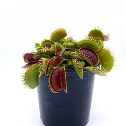 vZz0780bFZfU8jMC5yX3.jpg vZz0780bFZfU8jMC5yX3.jpg