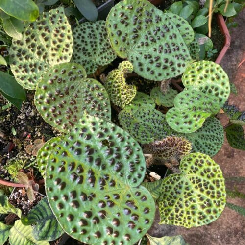 vbD7OGZyfHY4tBhQ7BKl.jpg vbD7OGZyfHY4tBhQ7BKl.jpg