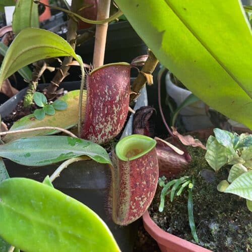 vyHZ2grMIiUJeFfm78Fa.jpg vyHZ2grMIiUJeFfm78Fa.jpg