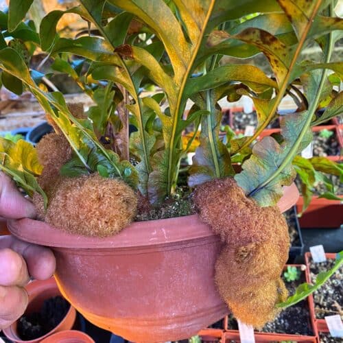 w1655kKgoyqiXXt8nQ6r.jpg w1655kKgoyqiXXt8nQ6r.jpg