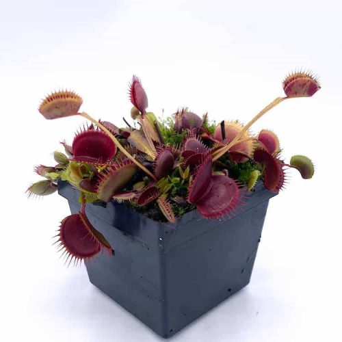 wBLRDzYzBY8zRR5IQOw2.jpg wBLRDzYzBY8zRR5IQOw2.jpg