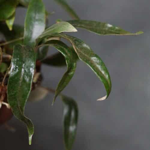 wF1jnBZKx0UbdY4nG3ut.jpg wF1jnBZKx0UbdY4nG3ut.jpg