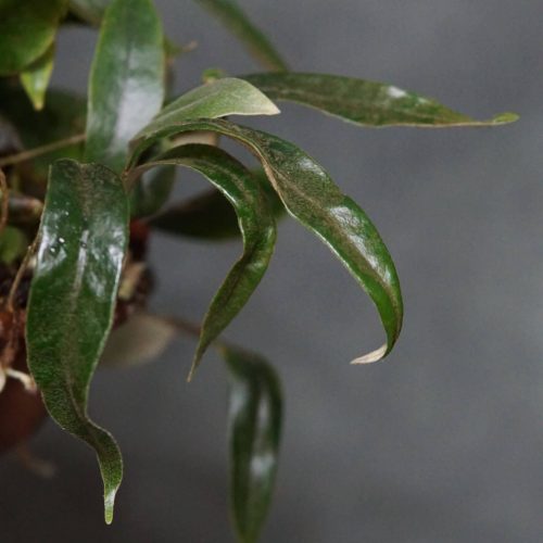 wF1jnBZKx0UbdY4nG3ut.jpg wF1jnBZKx0UbdY4nG3ut.jpg