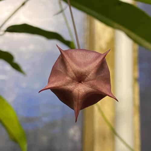 wHIbY1vlxKfIodlx4rgr.jpg wHIbY1vlxKfIodlx4rgr.jpg