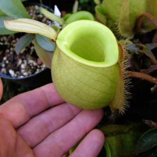 wJhNUXQkVCrAOOk2CIre.jpg wJhNUXQkVCrAOOk2CIre.jpg