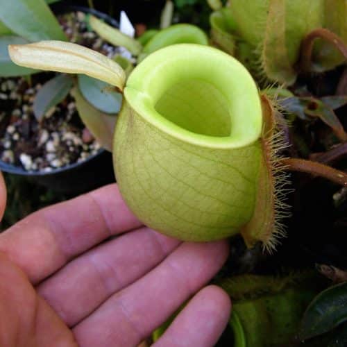 wJhNUXQkVCrAOOk2CIre.jpg wJhNUXQkVCrAOOk2CIre.jpg