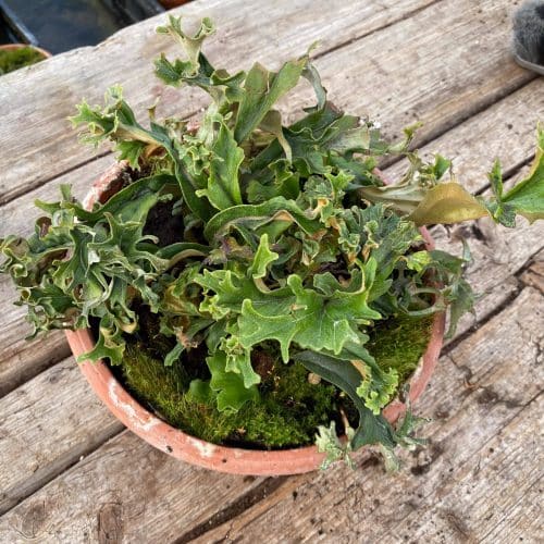 weWjnpWkxLdmw8okEiTy.jpg weWjnpWkxLdmw8okEiTy.jpg